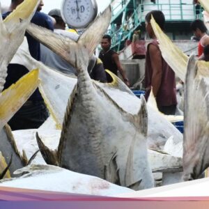 Kalender Jawa Senin Pon 24 Agustus 2026: Hari Baik Cari Ikan