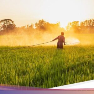 Saatnya Pasang Tumbal Penolak Hama