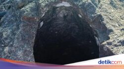 Kuwe Bawa Bencana, Belanak Bisa Bikin Tuli