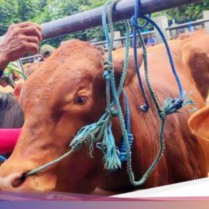 Kalender Jawa Minggu Pon 18 Oktober 2026: Hari Baik Berbisnis Rajakaya