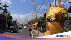 Setelahnya 37 Tahun, Karya Agung Hingga Akah Klungkung Digelar Lagi Bersama 500 Penjor