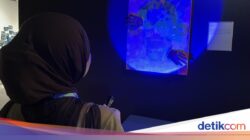 Ruang Ekspresi Seniman Muda Di Jantung Kota