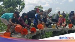 Umat Buddha Tulungagung Gelar Fangsheng, Lepas Ribuan Ikan Hingga Sungai
